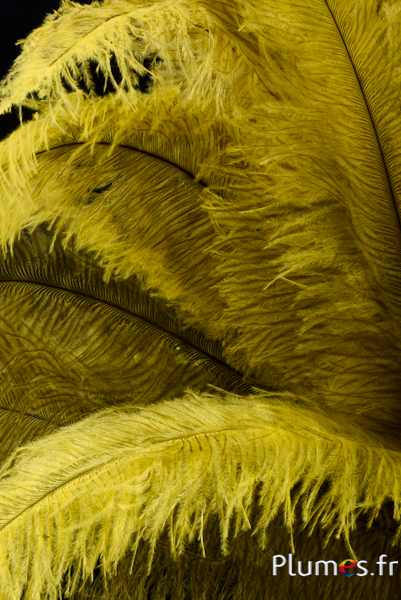 Autruche - 32-42 cm - gris clair-jaune